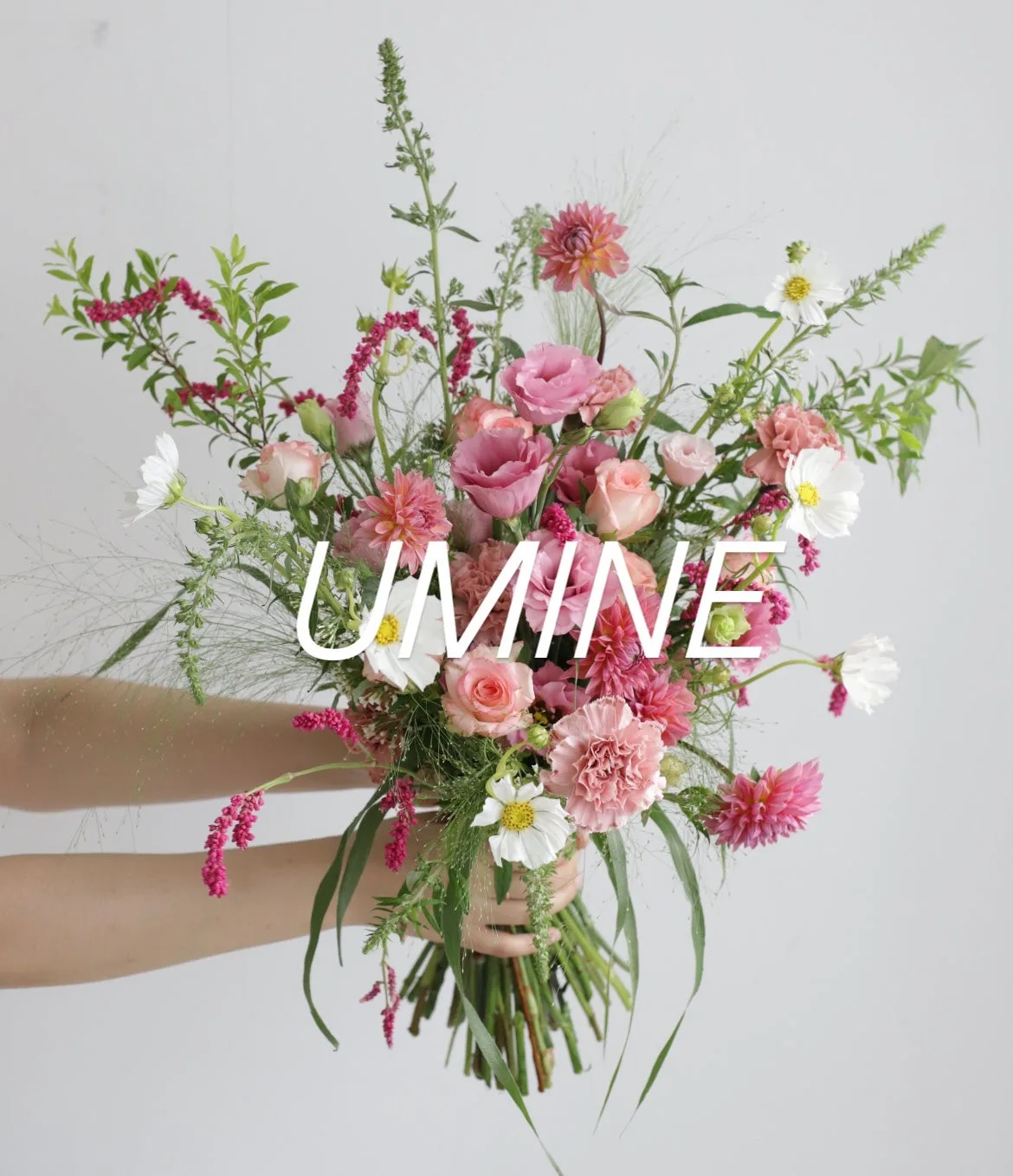 유미네꽃(UMINE FLOWER) 사진 3