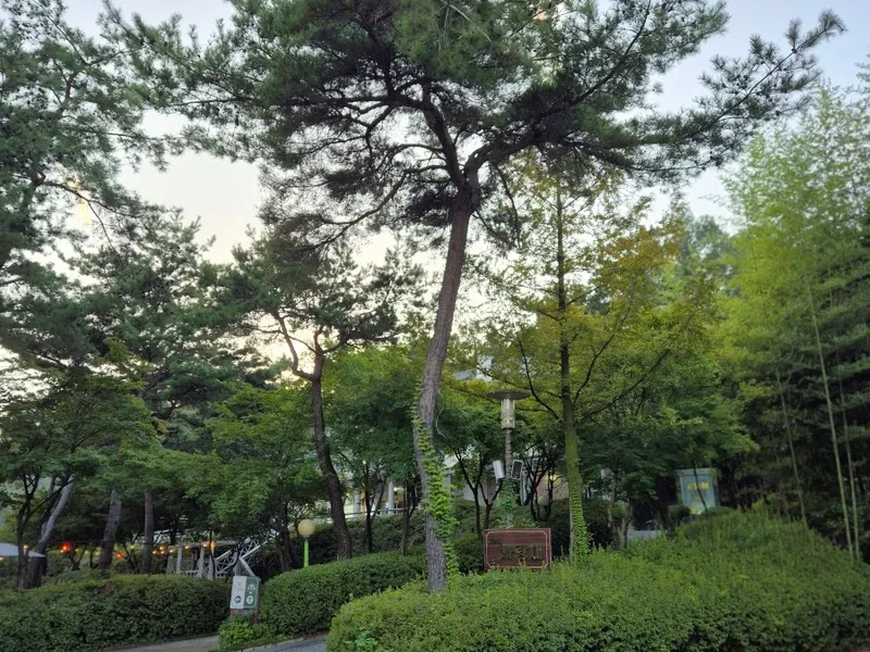 고려원사랑채 사진 2