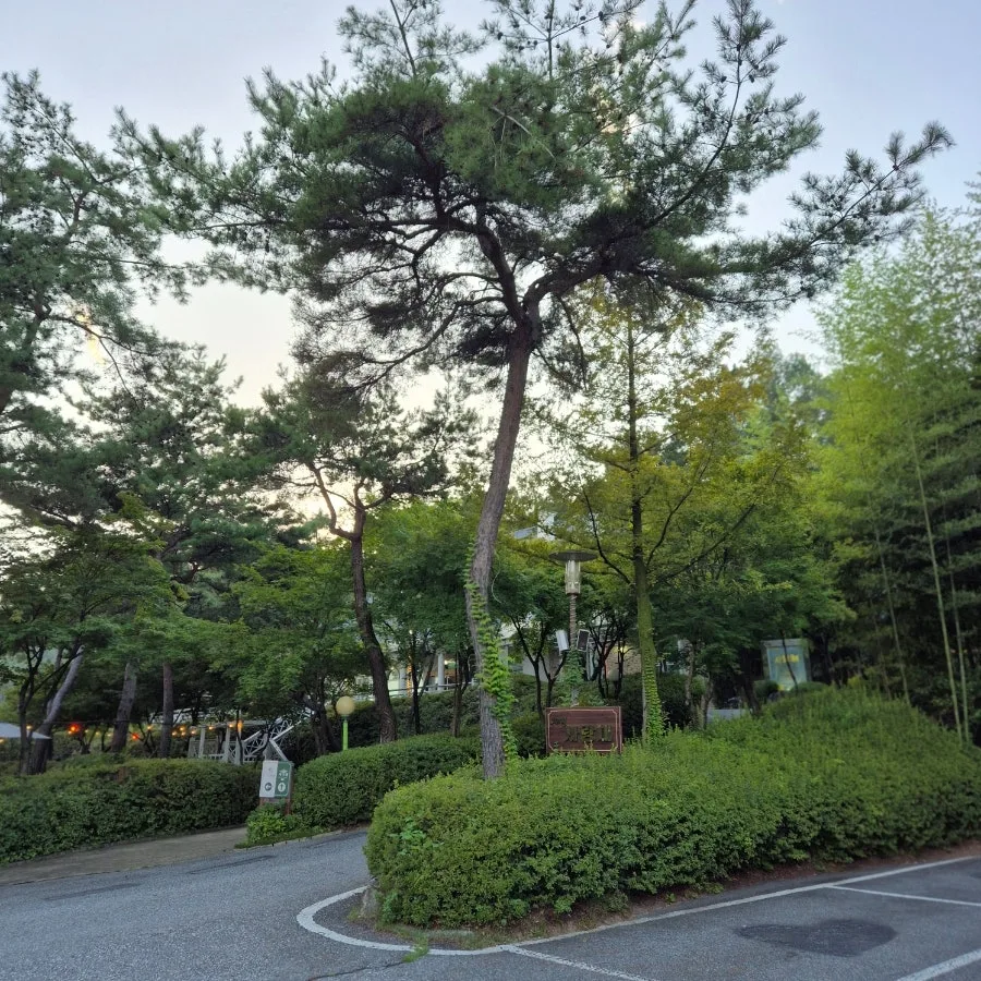 고려원사랑채 사진 2