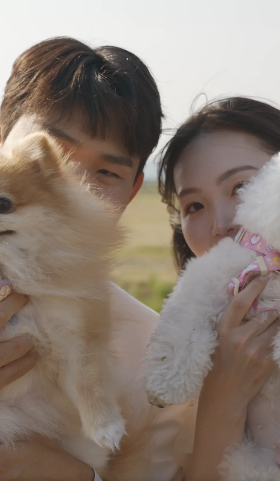 아보카도스타일 사진 10