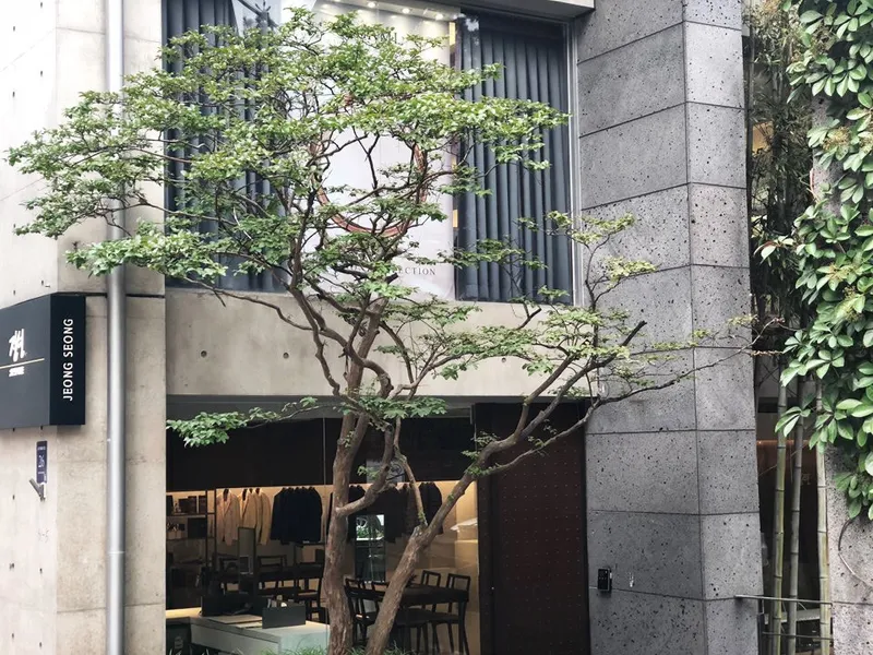 정성비스포크 청담 사진 3