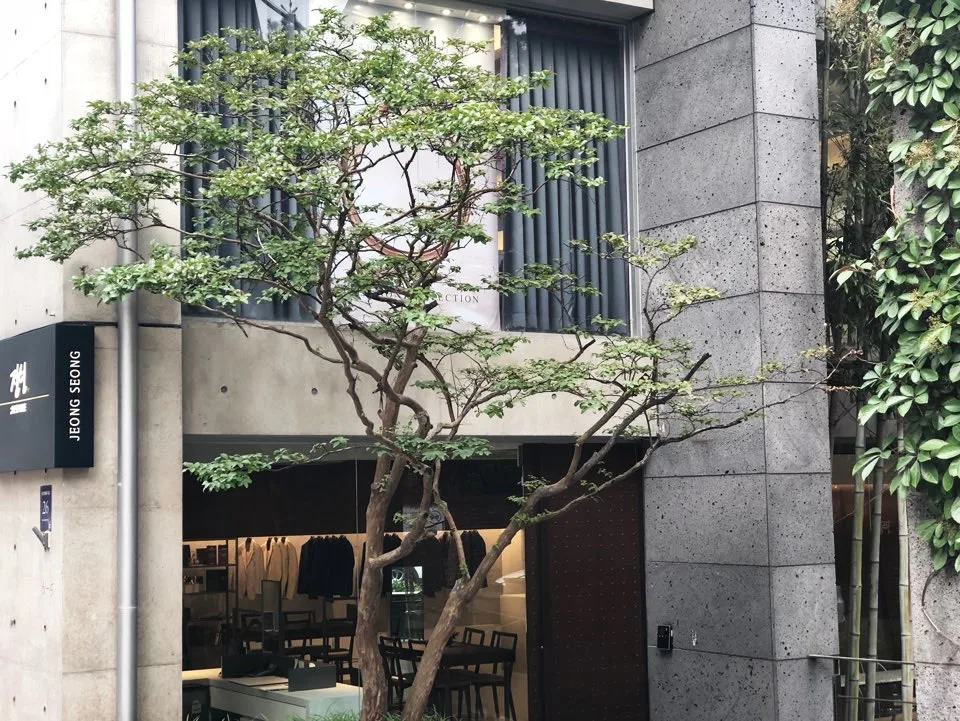 정성비스포크 청담 사진 3