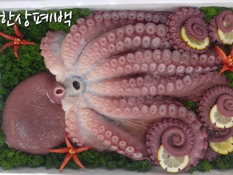 한상폐백 (부산진시장) 사진 4