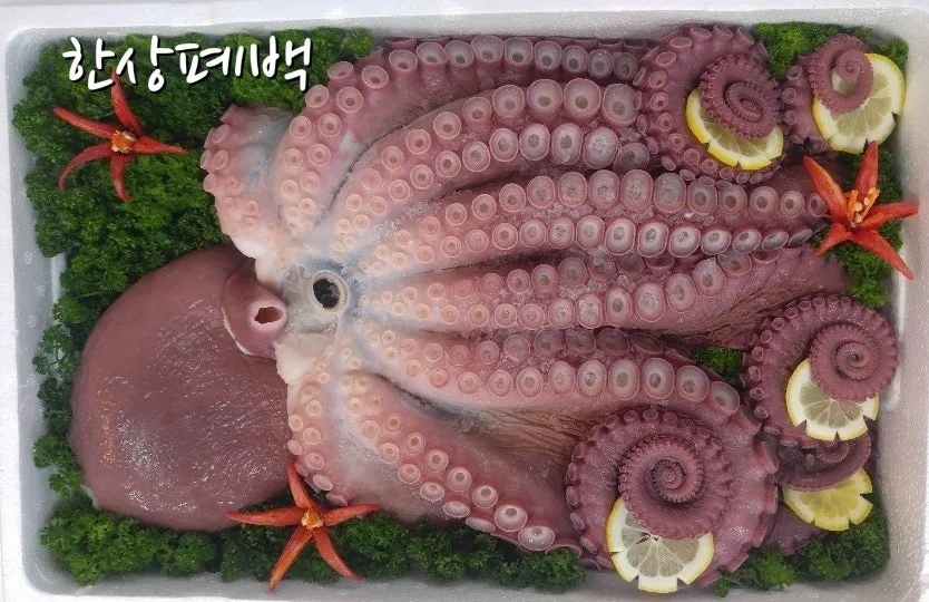 한상폐백 (부산진시장) 사진 4