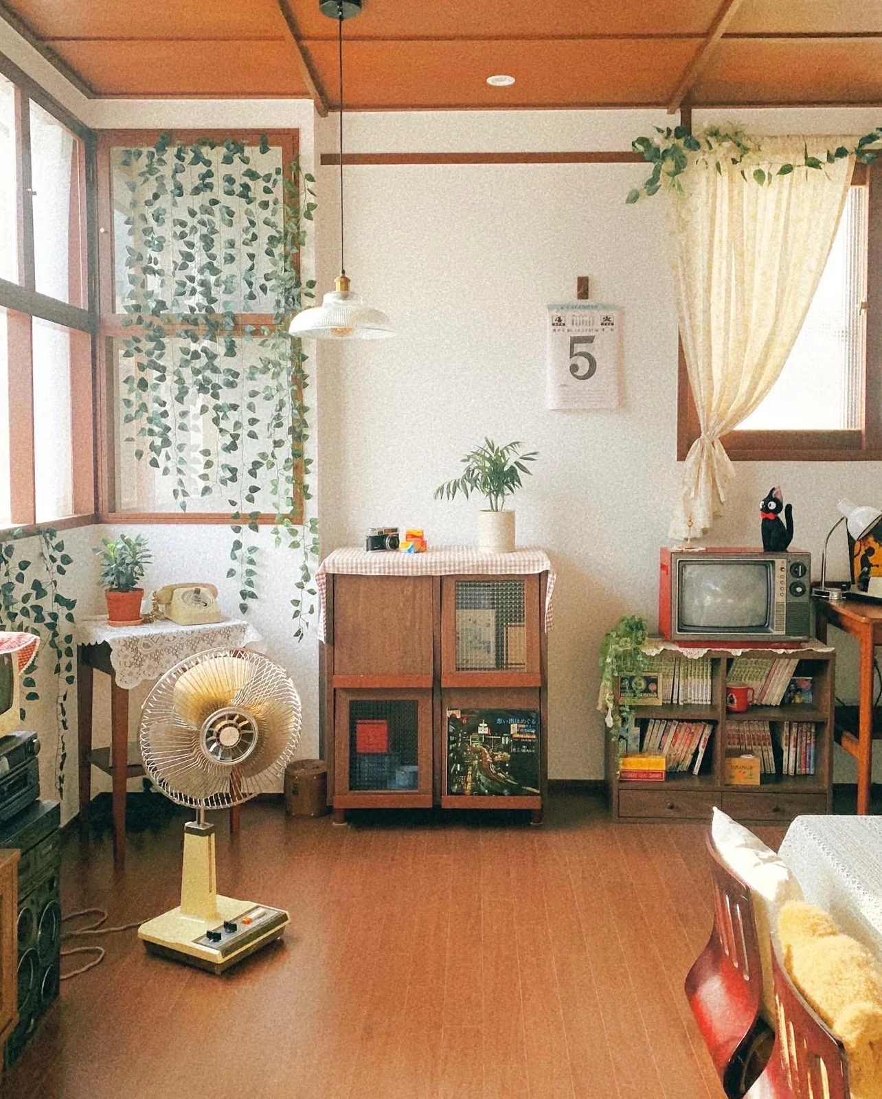 최꽃 사진 5