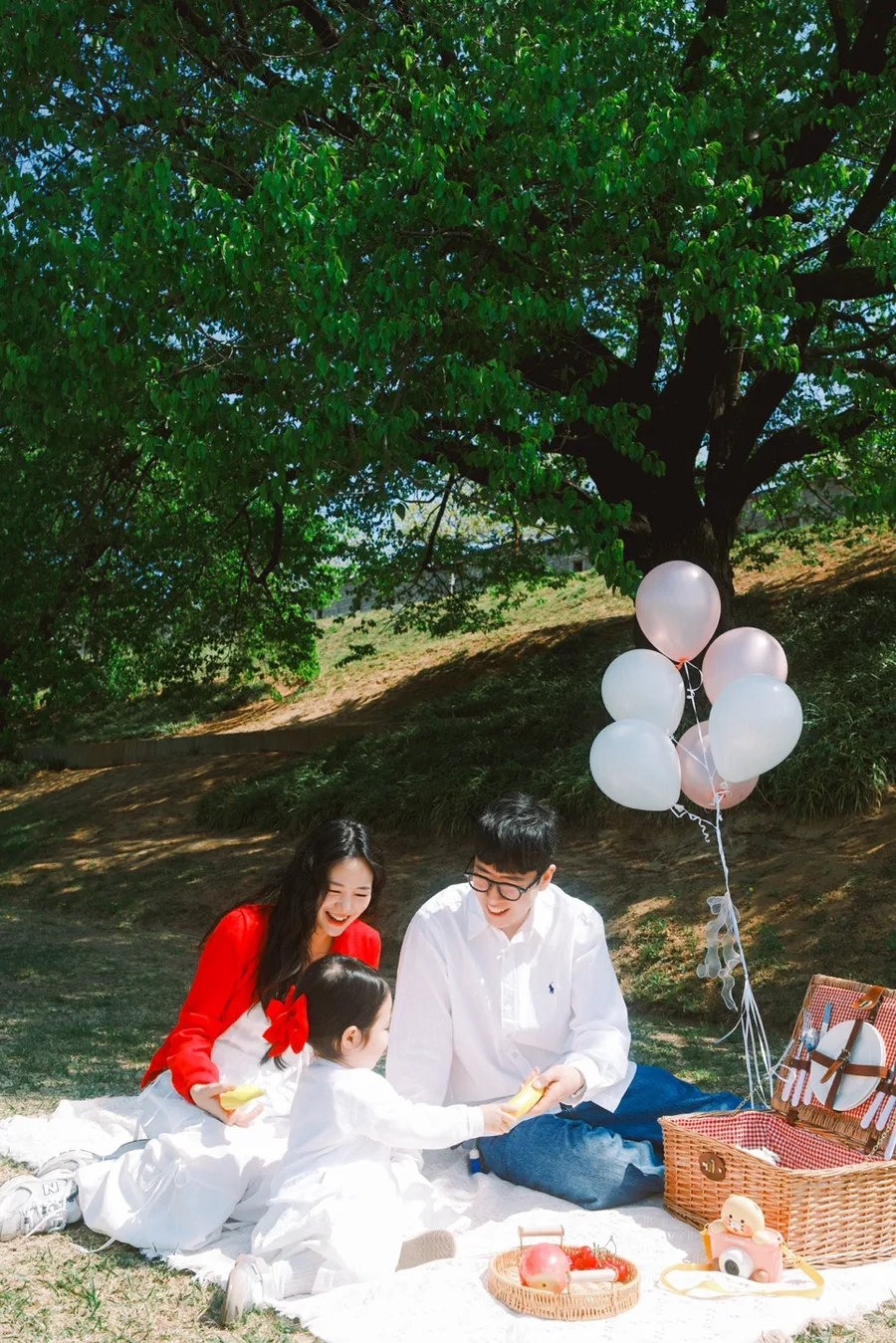 풀빛사진관 사진 5
