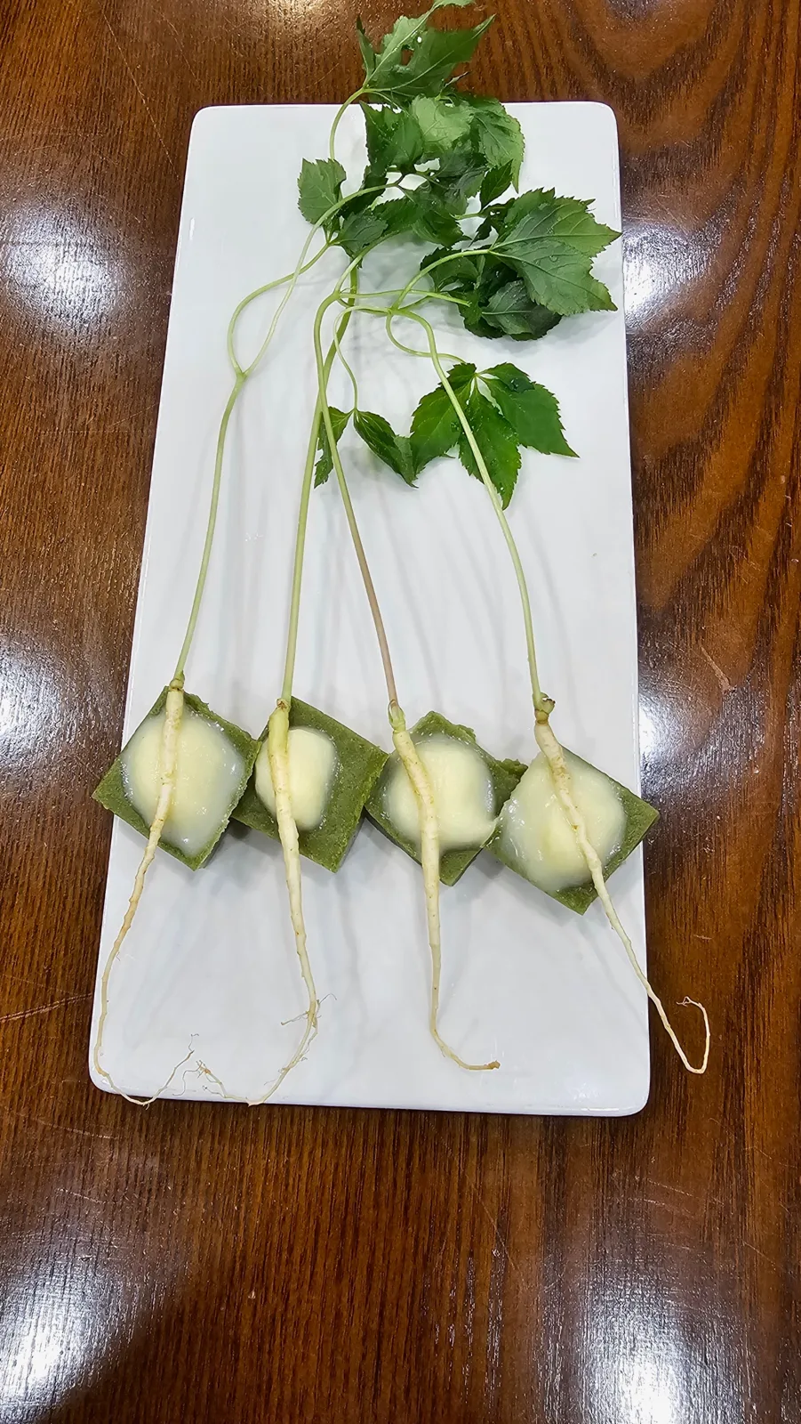 마실 사진 4