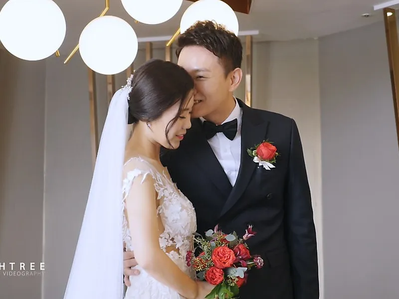 피쉬트리 사진 2