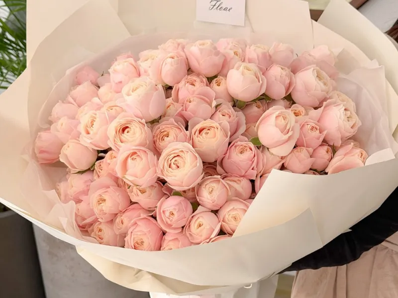 플로애 사진 3
