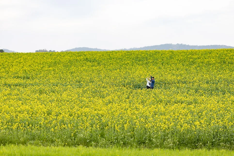 이매진포토 사진 3