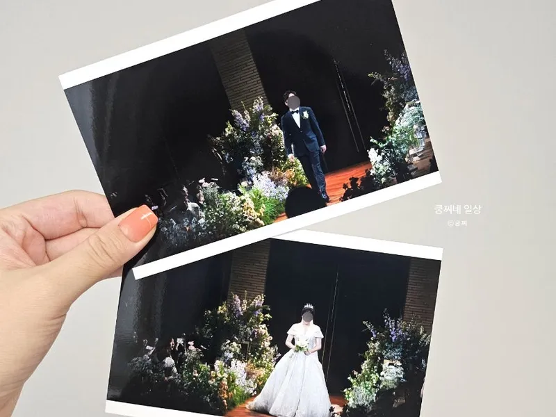 핑크빛나무 사진 4