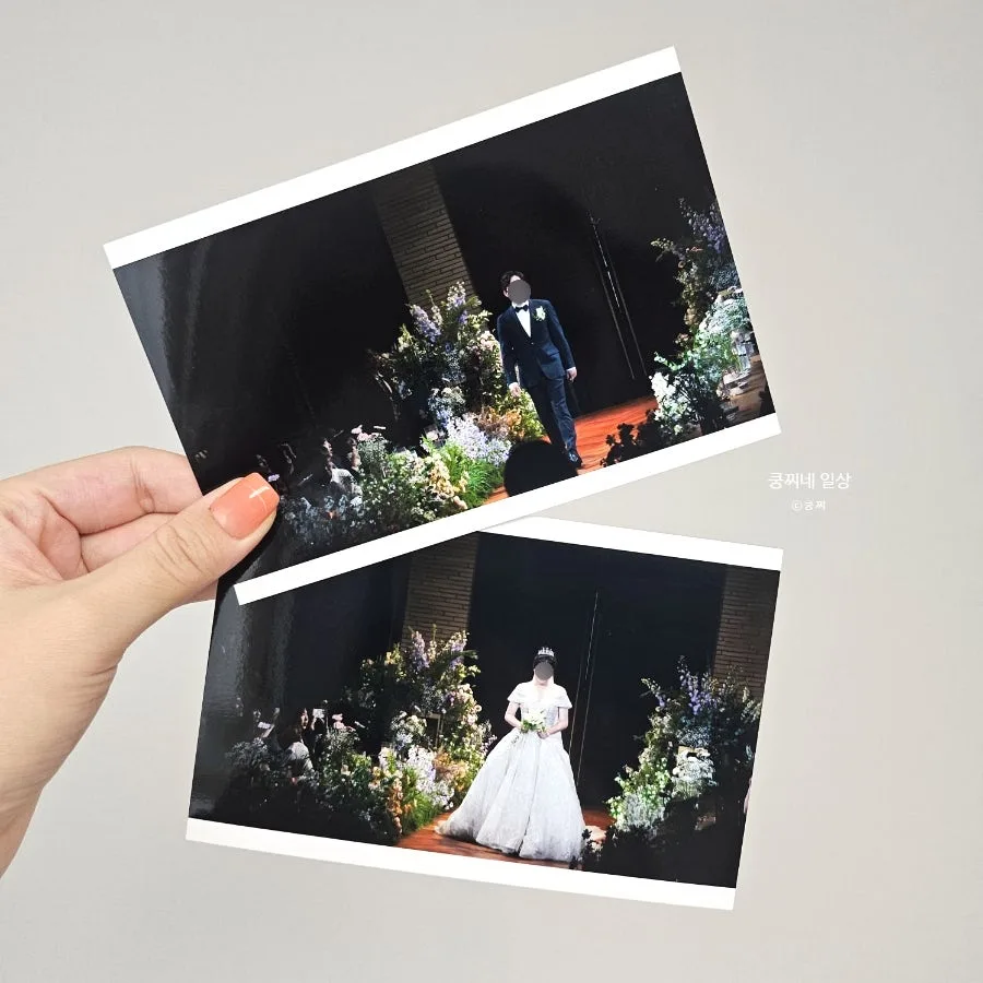 핑크빛나무 사진 4