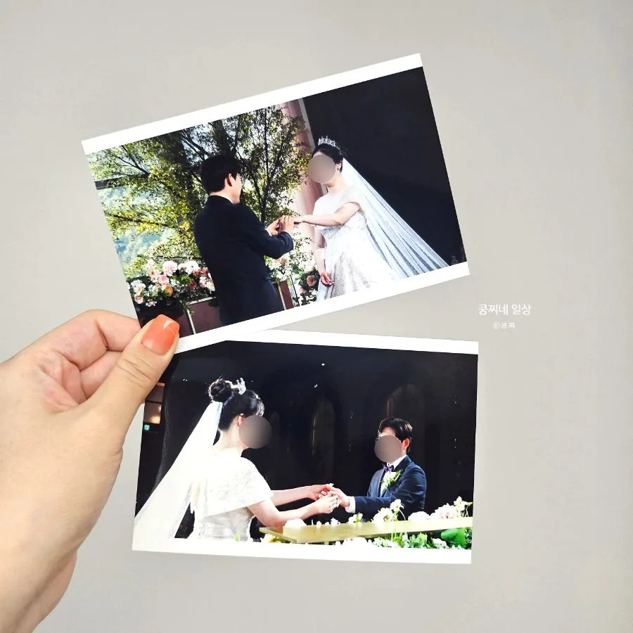 핑크빛나무 사진 5