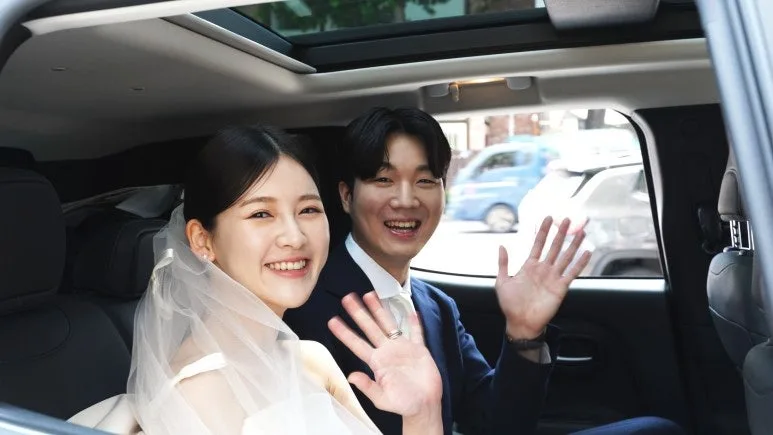 핑크빛나무 사진 9