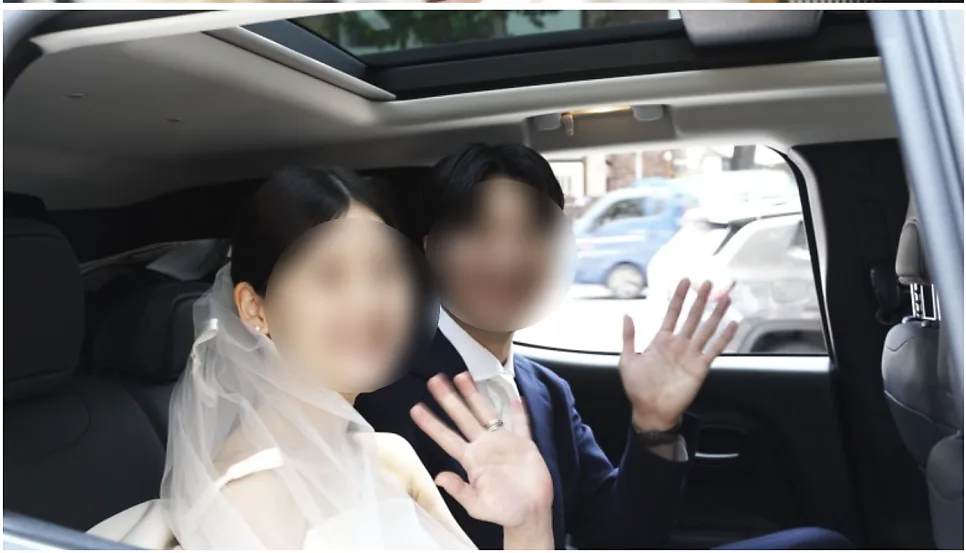 핑크빛나무 사진 6