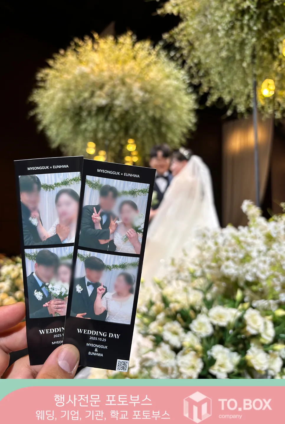 티오박스 사진 2