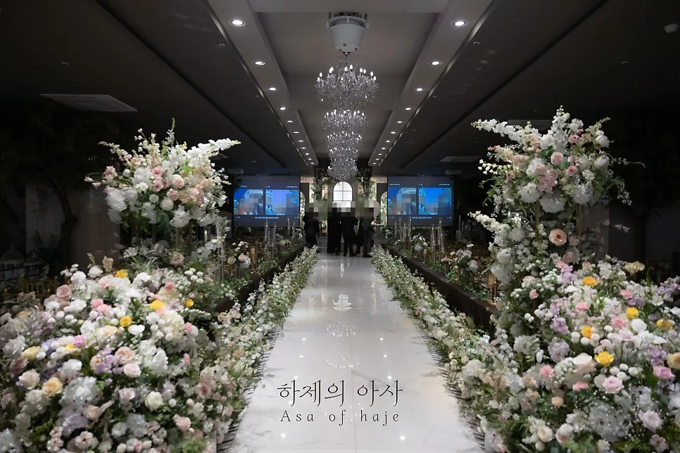 하제의아사 사진 4