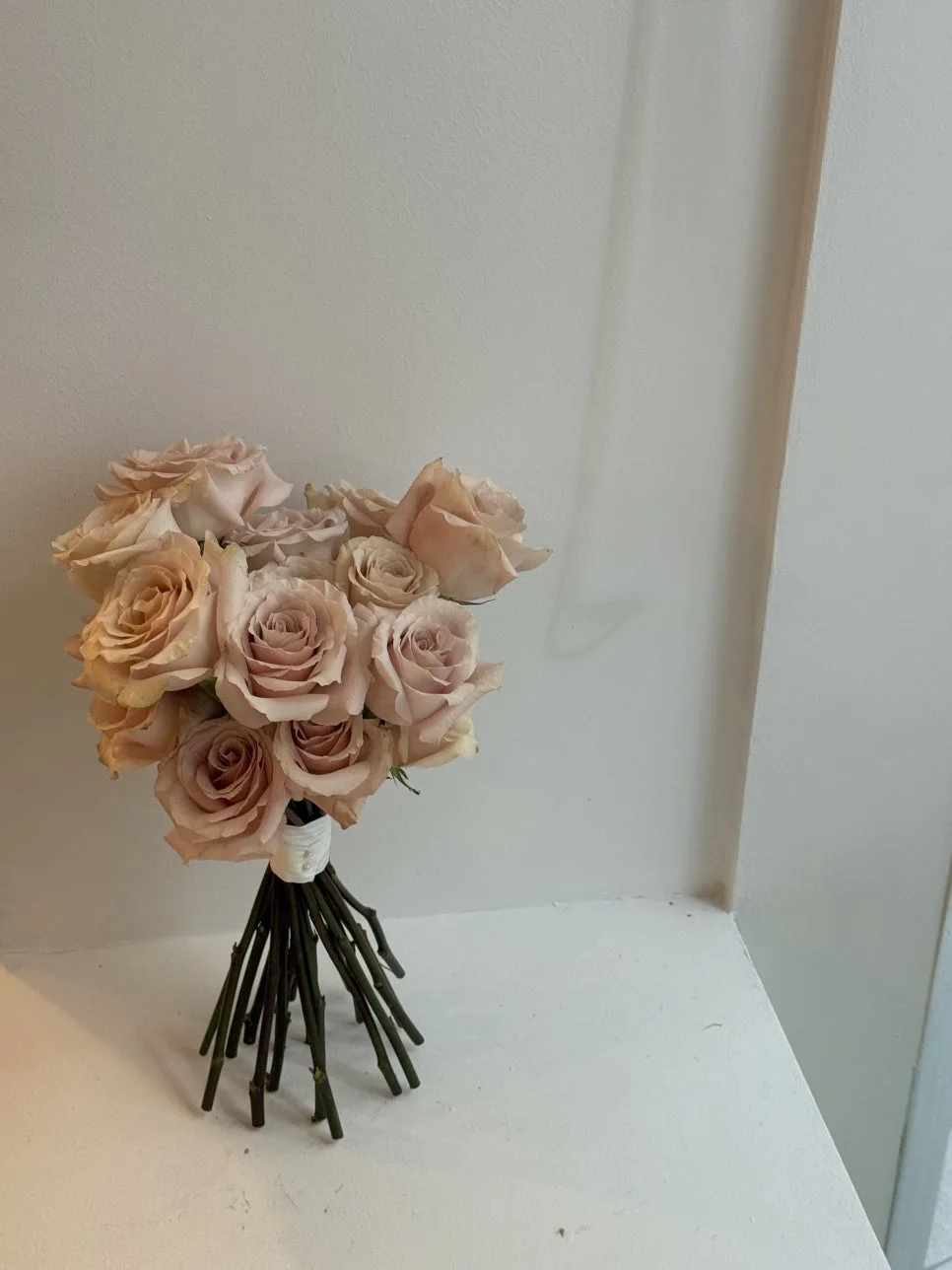 피다테르(Piedaterre) 사진 5