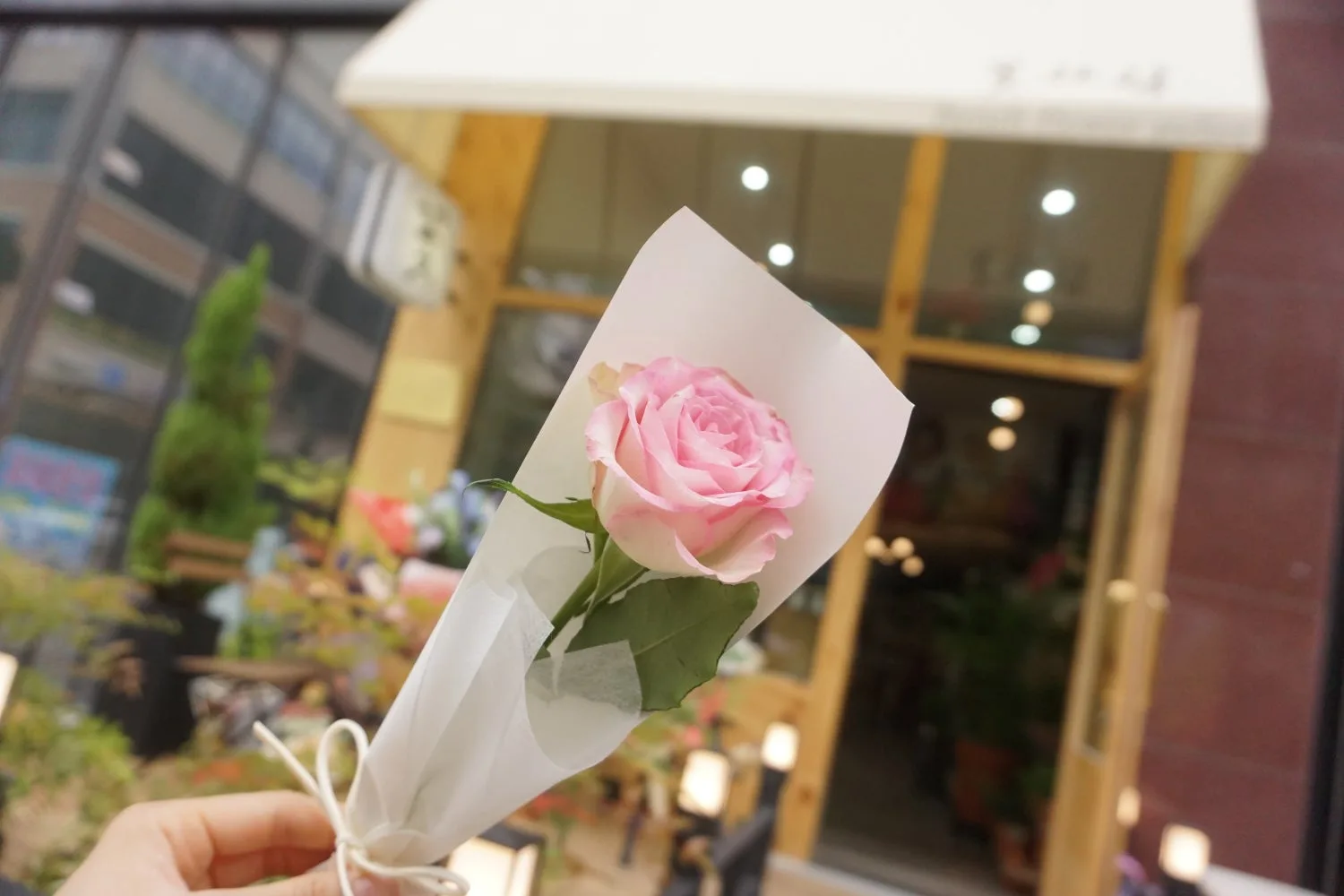 꽃차림 사진 5