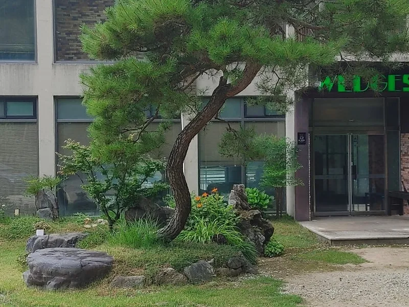 웻지52웨딩카페 사진 3