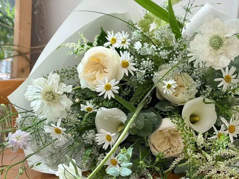 캄파니아플라워(campania flower) 사진 3