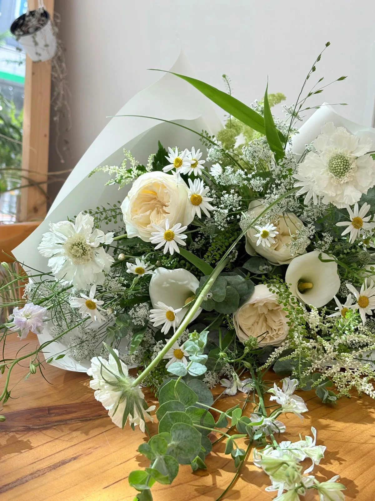 캄파니아플라워(campania flower) 사진 3