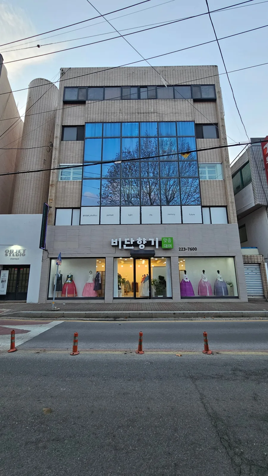비단향기 사진 7