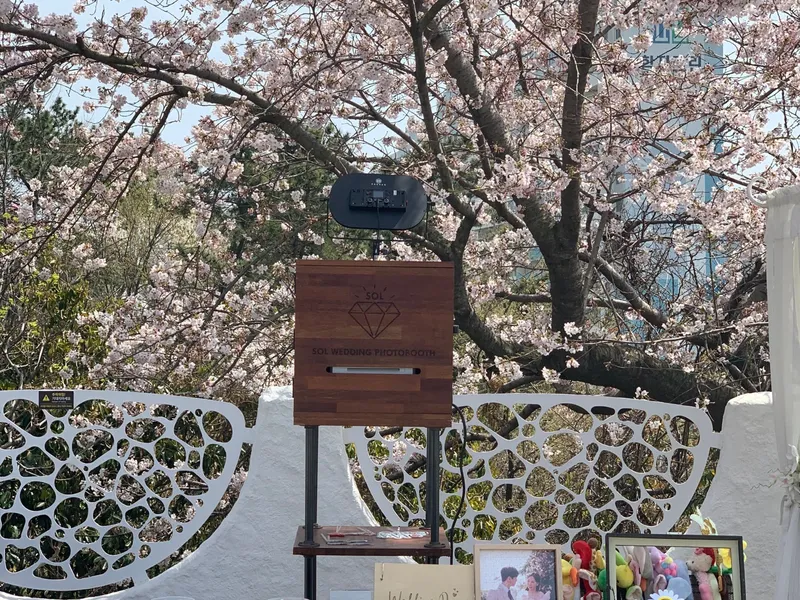 솔웨딩포토부스 사진 1
