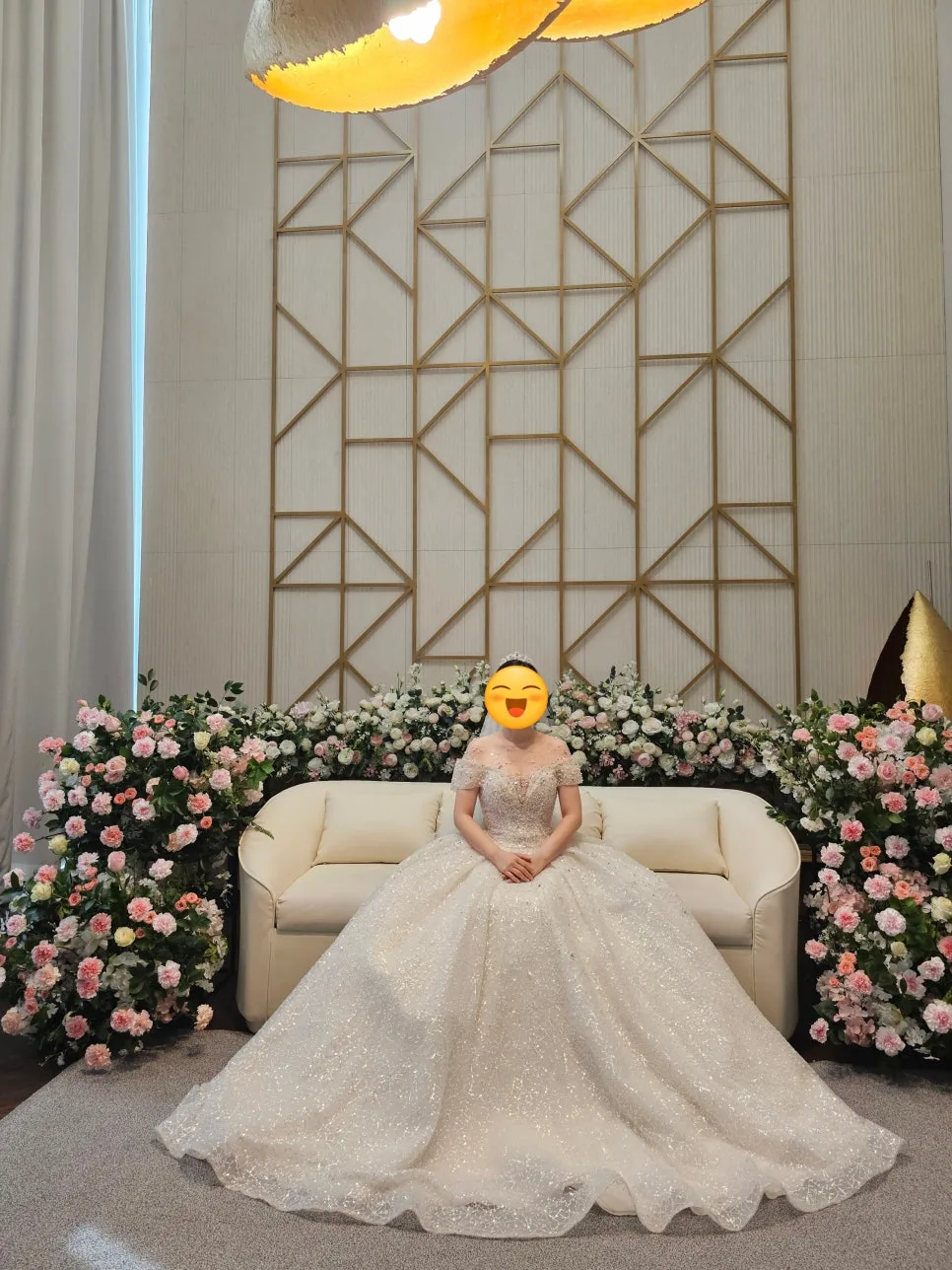 펠리스노비아 사진 5