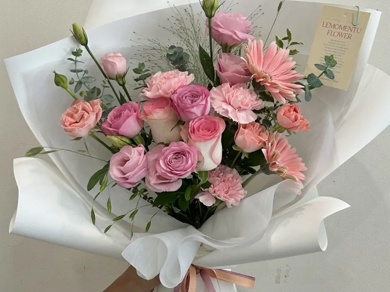 르모멍유 사진 4