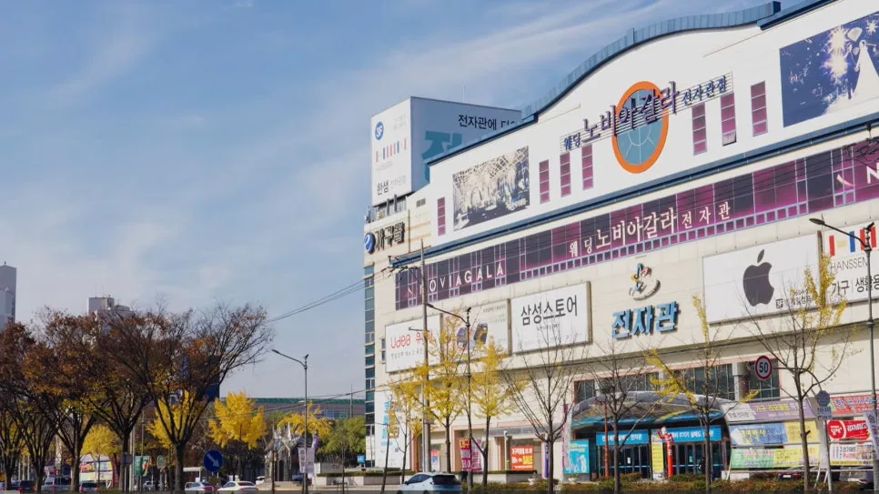 노비아갈라웨딩 전자관점 사진 3