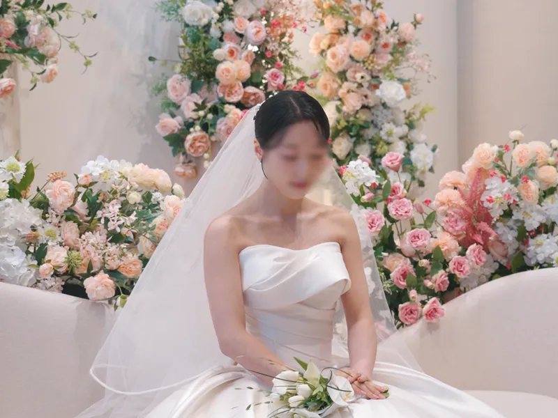 브라운셔터 사진 1