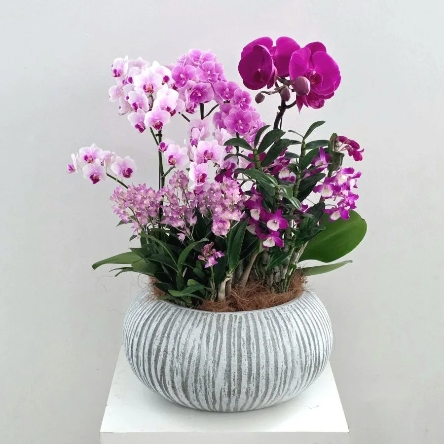 가든 플라워(garden flower) 사진 3
