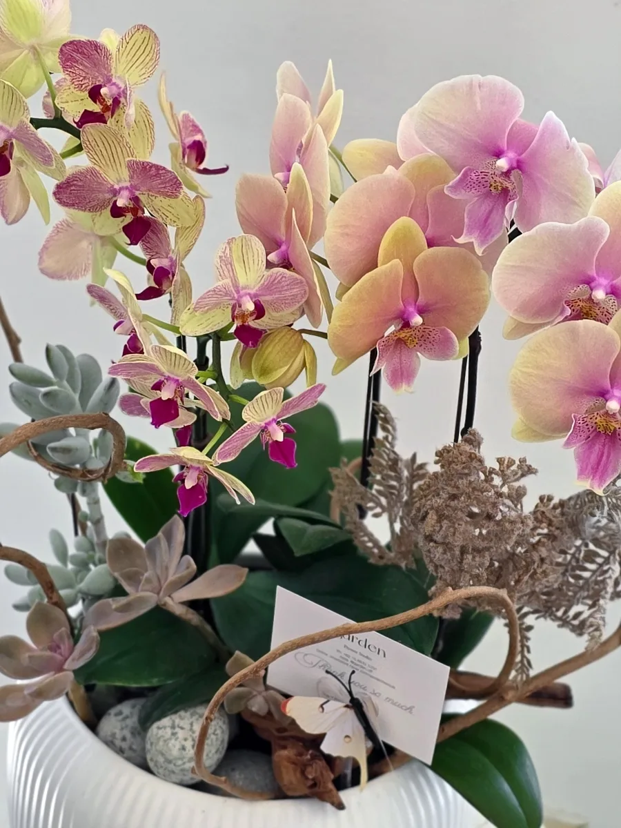 가든 플라워(garden flower) 사진 7