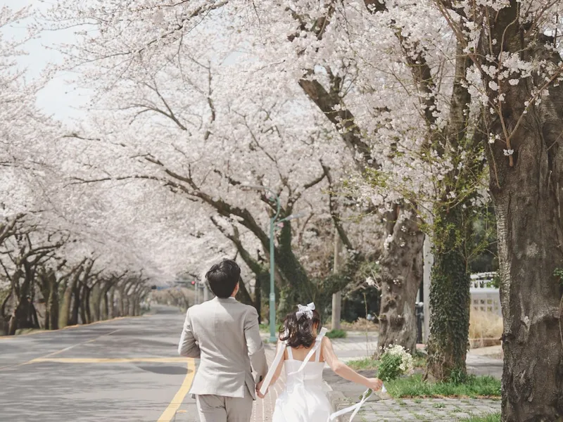 윤즈필름 사진 4