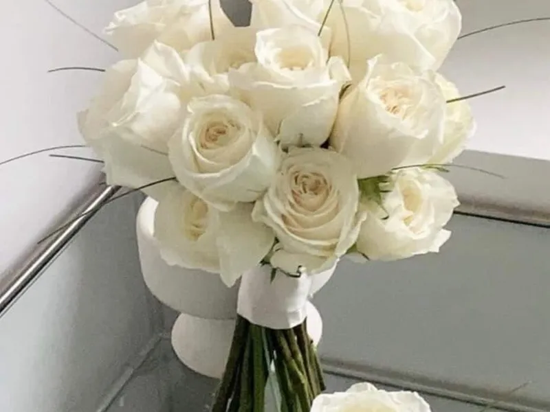 똔뚜 사진 2