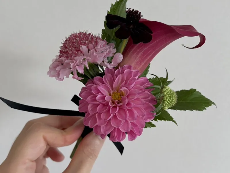 똔뚜 사진 3