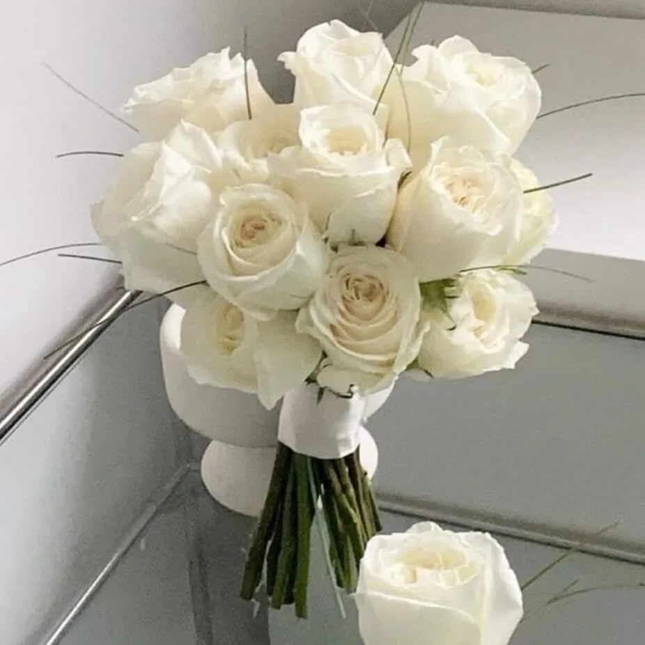 똔뚜 사진 2