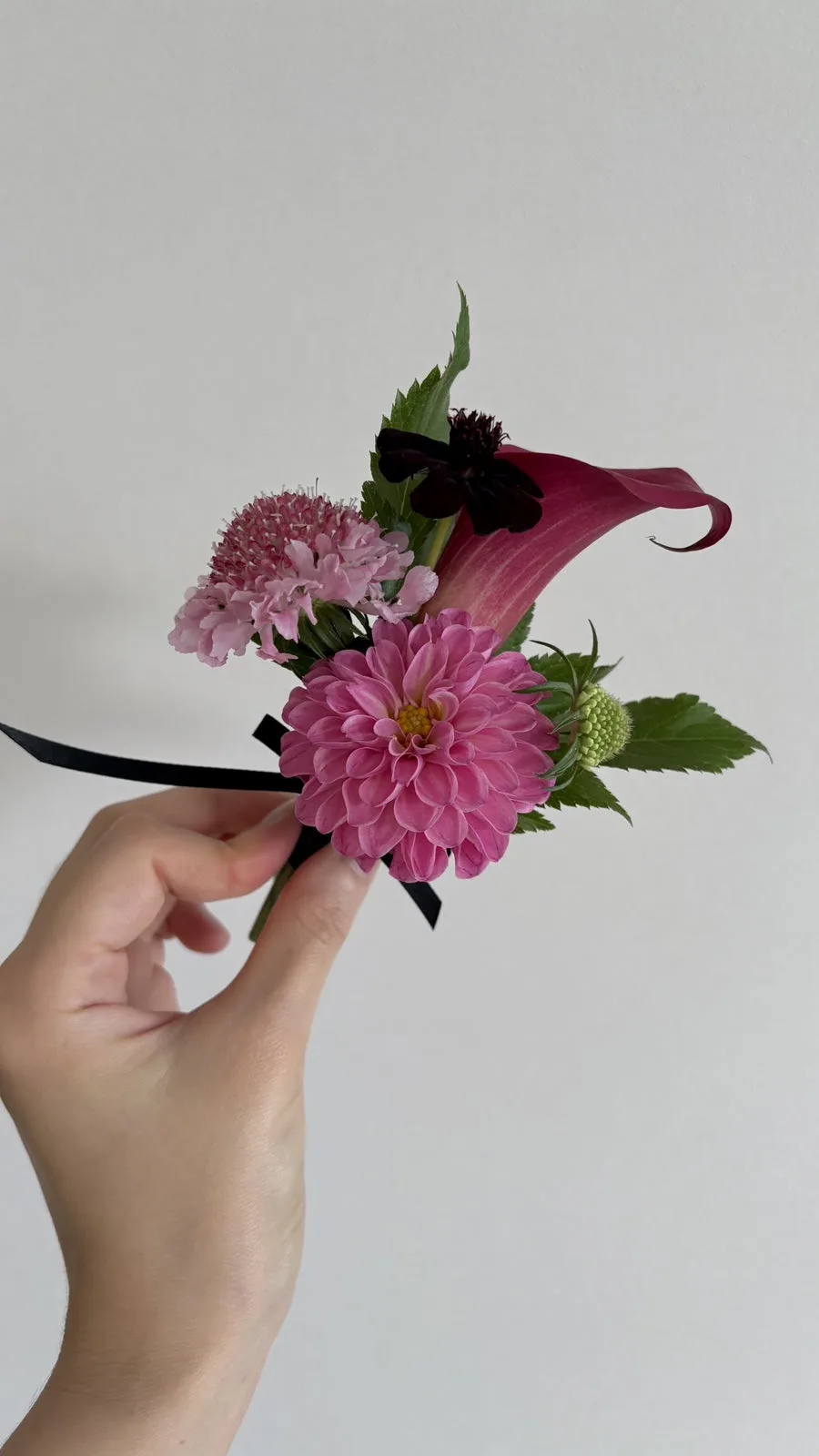 똔뚜 사진 3
