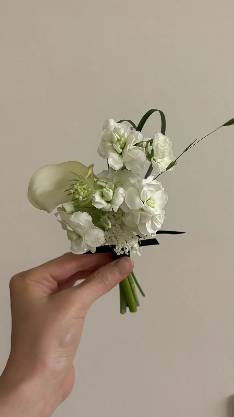 똔뚜 사진 4