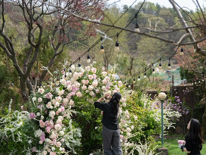 로제뜨플라워 (ROSETTE FLOWER) 사진 4