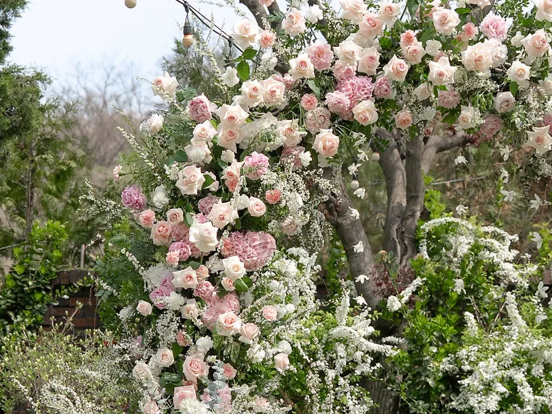 로제뜨플라워 (ROSETTE FLOWER) 사진 1