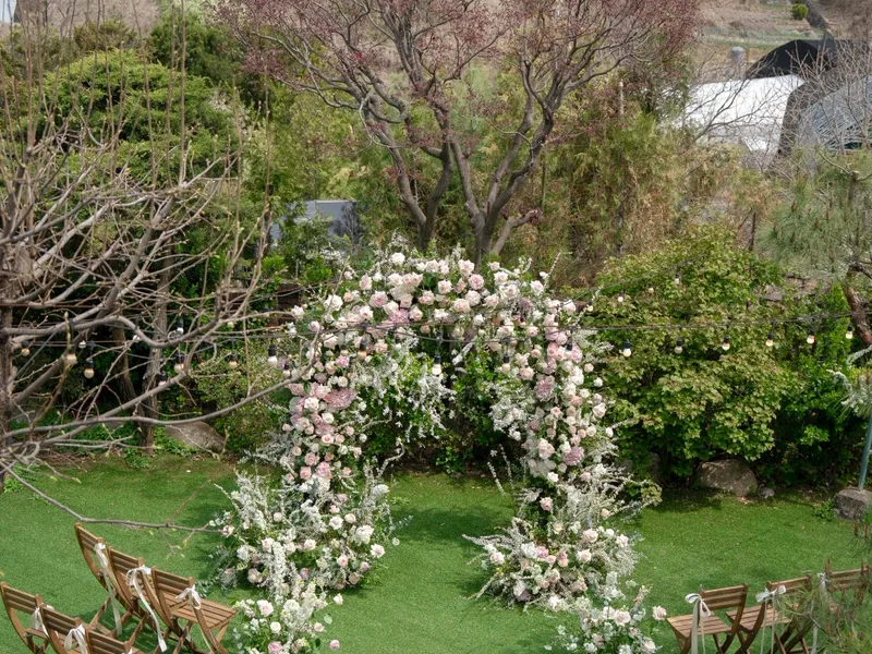 로제뜨플라워 (ROSETTE FLOWER) 사진 2