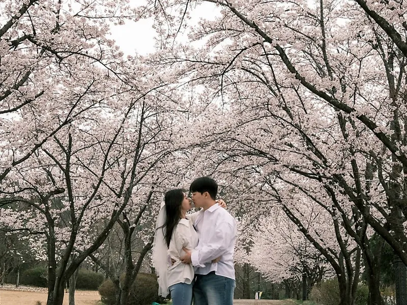 블라썸시즌 사진 4