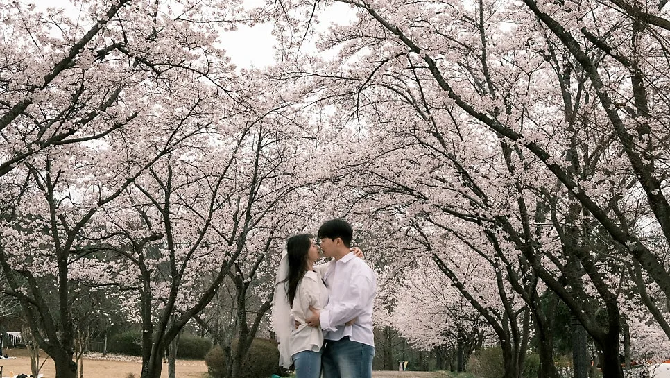 블라썸시즌 사진 4