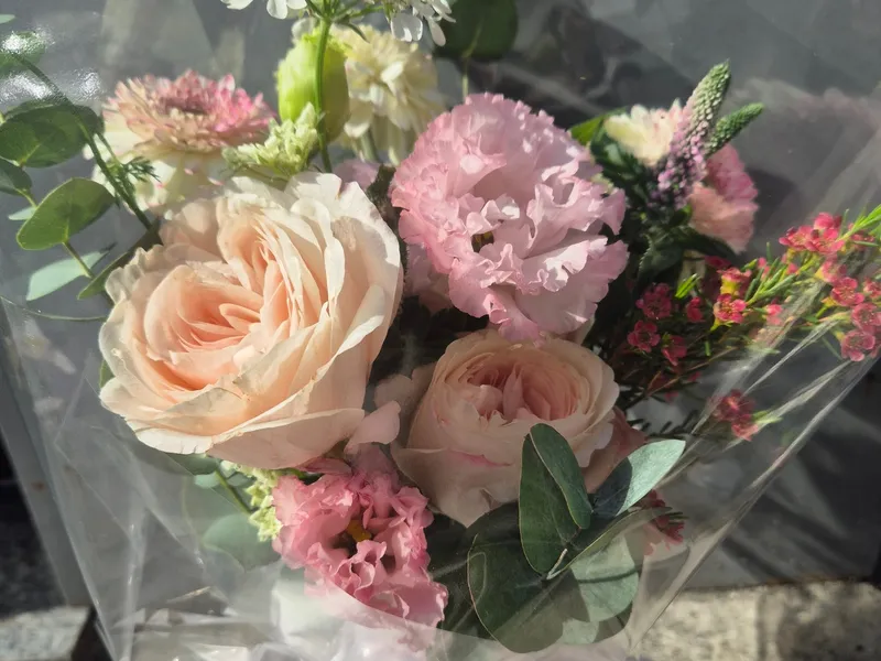 플라워쟈스민(Flower Jasmin) 사진 3