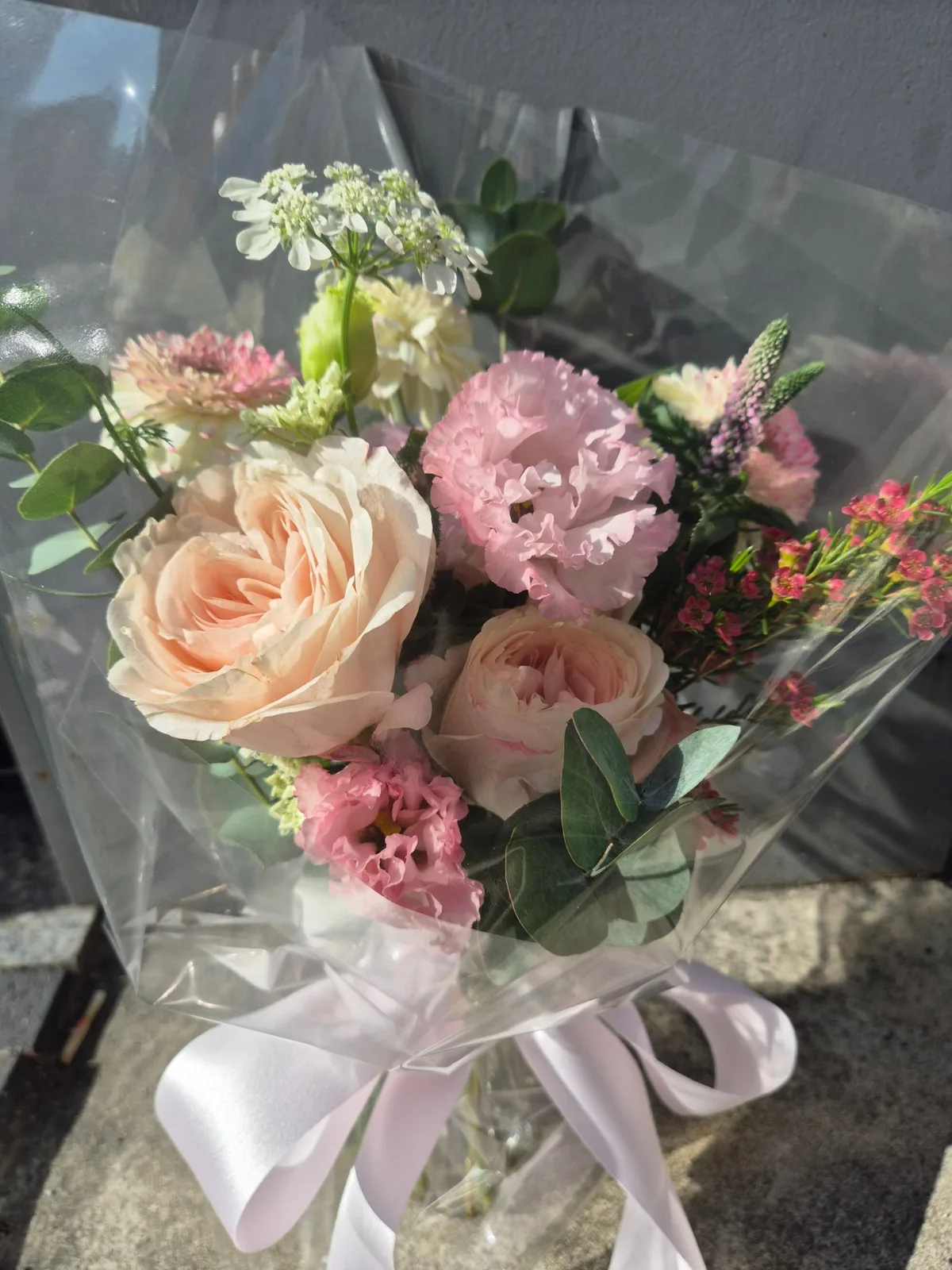 플라워쟈스민(Flower Jasmin) 사진 3