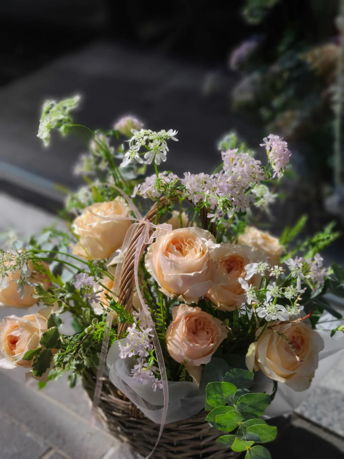 플라워쟈스민(Flower Jasmin) 사진 4