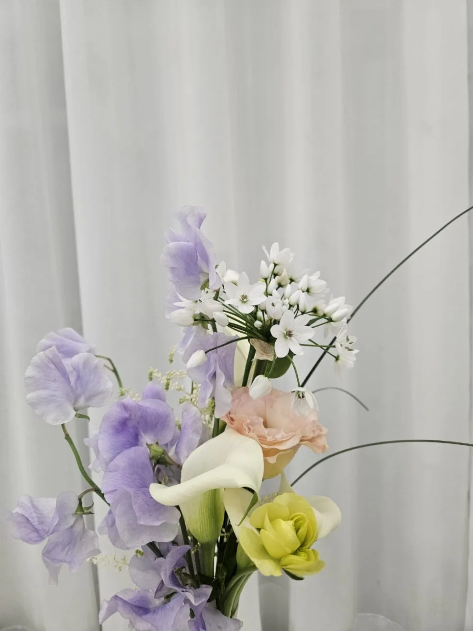 플래니아 사진 5