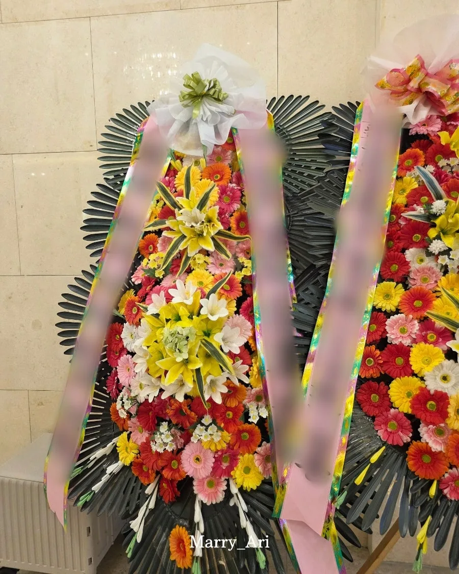 메리아리 사진 2
